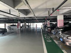 -上海海昌海洋公园-停车场