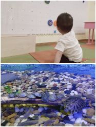 -酷嗒动物文化乐园(cutezoo西溪乐天城店)