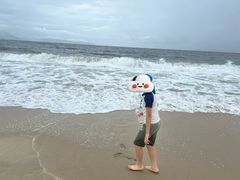 -玫瑰海岸文化旅游度假区
