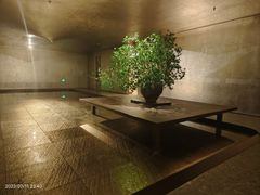 -隐溪茶馆(静安寺店)