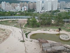 -青藏高原野生动物园