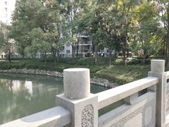 -大关公园
