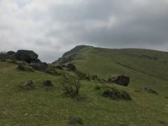 -大姆山草场