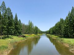 -黄海国家森林公园