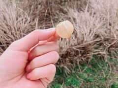 -良渚古城遗址公园