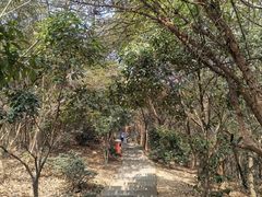 -杭州半山国家森林公园