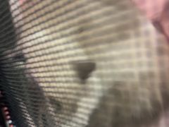 -御宝贝24h宠物医院·转诊中心·CT核磁血透中心(厦门总院)
