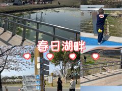 -滆湖低碳生态公园