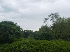 -昆山城市生态森林公园