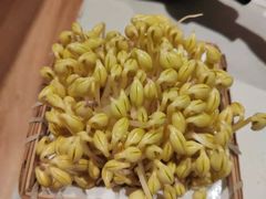 井水黄豆芽-巴奴毛肚火锅概念餐厅