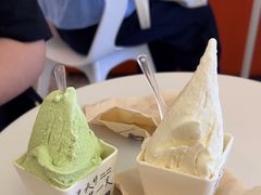 -野人先生现做冰淇淋(北京王府井东方新天地店)