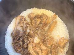-一煲鸽
