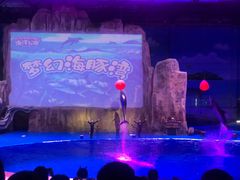 -华夏文旅海洋公园