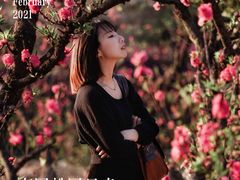 -南国桃园旅游度假区