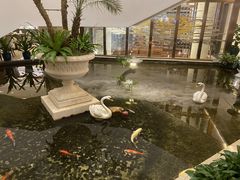 -白天鹅宾馆·流浮阁咖啡厅