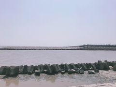 -南汇嘴观海公园