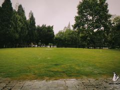 -瀛洲公园
