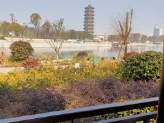 -葛仙湖公园