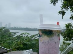 -鸡鸣赐茶(鸡鸣寺路店)