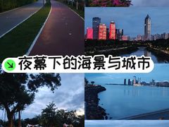 -万绿园