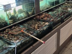 -串门海鲜烧烤(五四广场店)