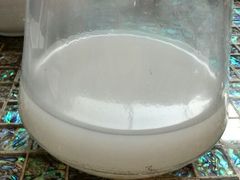 android_upload_pic-走马楼饭庄(慈城古县城店)