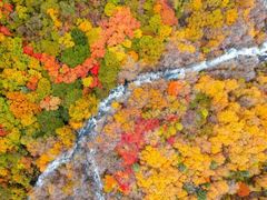 -叠溪松坪沟景区