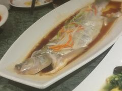 雪山鱼-东方亚克西餐厅(西康路店)