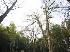 -西湖风景区十里琅珰-五云山