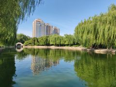 -团结湖公园