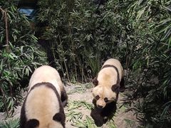-武汉园博园(武汉自然博物馆)