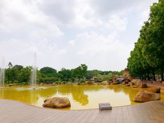 -广东圆玄道观