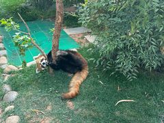 -昆明植物园
