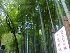-杭州黄龙洞