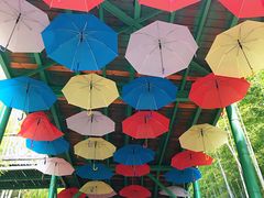 -陶祖圣境风景区