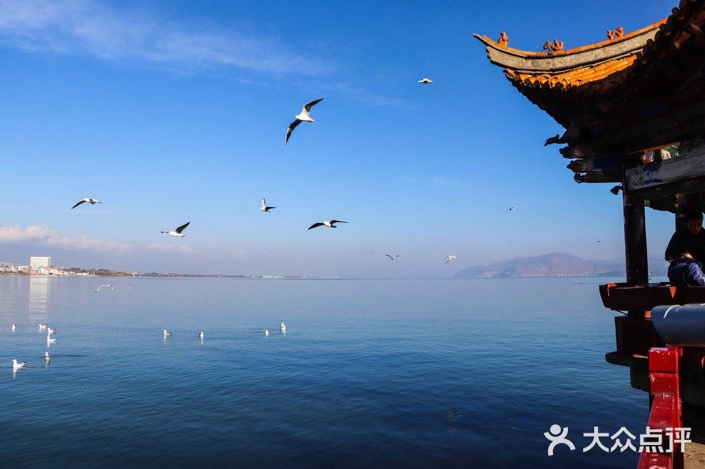 疫情过后,想去云南浪