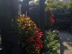 -慢丽江·云南野生菌土鸡锅(西山店)