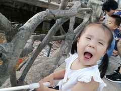 -华夏文旅海洋公园