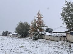 -扁都口生态休闲旅游区