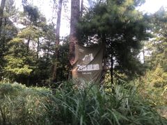-重庆睡佛山森林公园