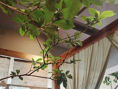 -本处·素食·融合料理(南油店)