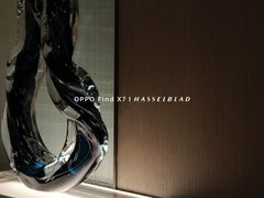 -深圳国际会展中心希尔顿酒店(前海华发冰雪世界店)