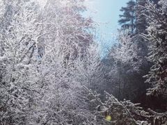 -迪庆藏族自治州博物馆