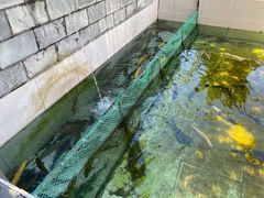 -钰田大院·碳烤虹鳟鱼·怀柔地道农家菜(雁栖湖店)