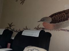 -大唐盲人按摩中心(怀宁路新粮仓店)