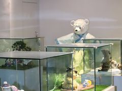 -成都泰迪熊博物馆