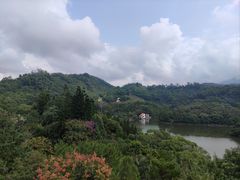 -深圳仙湖植物园
