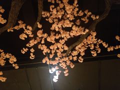 -蓝鲸湾汤泉(包河店)