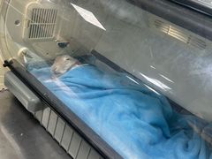 -美美宠物诊疗中心·异宠·骨科(滨江东信分院)
