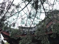 -惠山古镇·寄畅园